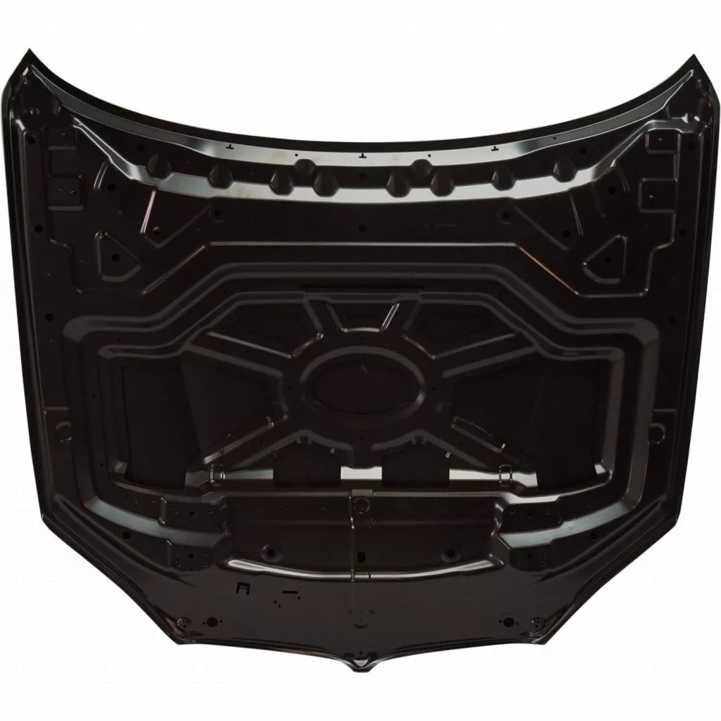 Hood panel assy 2016 - 2018 BMW X5 BM1230146 41007381758