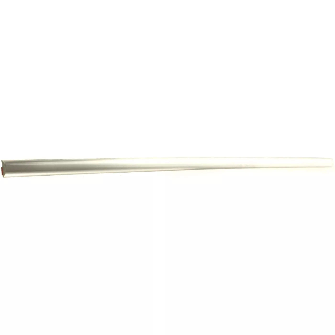 Tira de impacto parachoques delantero lado izquierdo 2005 - 2007 CHRYSLER TOWN & COUNTRY CH1058130 4857903AA