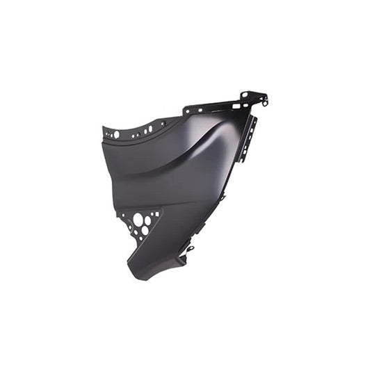 Left Side Front fender assy 2015 - 2024 FORD TRANSIT-150 CAPA FO1240294PP CK4Z16006A