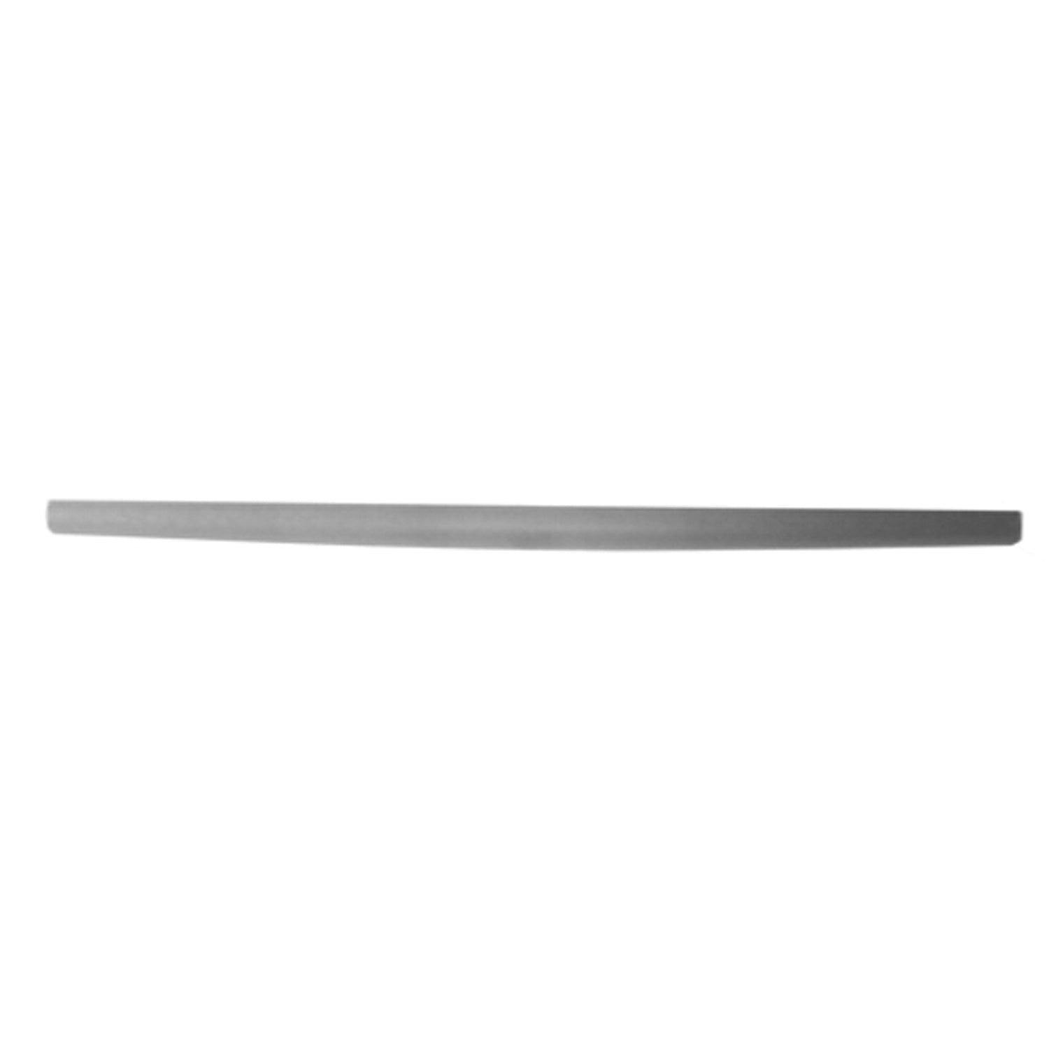 Rear gate molding 2003 - 2006 FORD F-250 SUPER DUTY FO1904114 3C3Z9940602AAA
