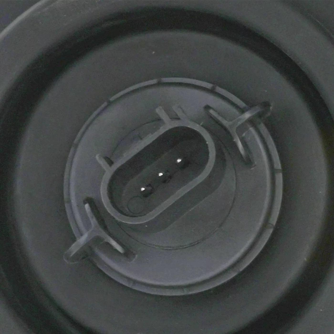 Conjunto de faro derecho compuesto 2005 - 2005 DODGE DAKOTA CH2503159 55077606AB