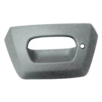 Rear gate handle bezel 2002 - 2002 CHEVROLET AVALANCHE 1500  GM1916104 15094722