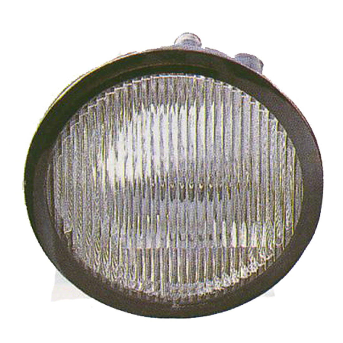 Right Side Fog lamp assy 2004 - 2006 NISSAN MAXIMA  NI2593116V 261007Y001