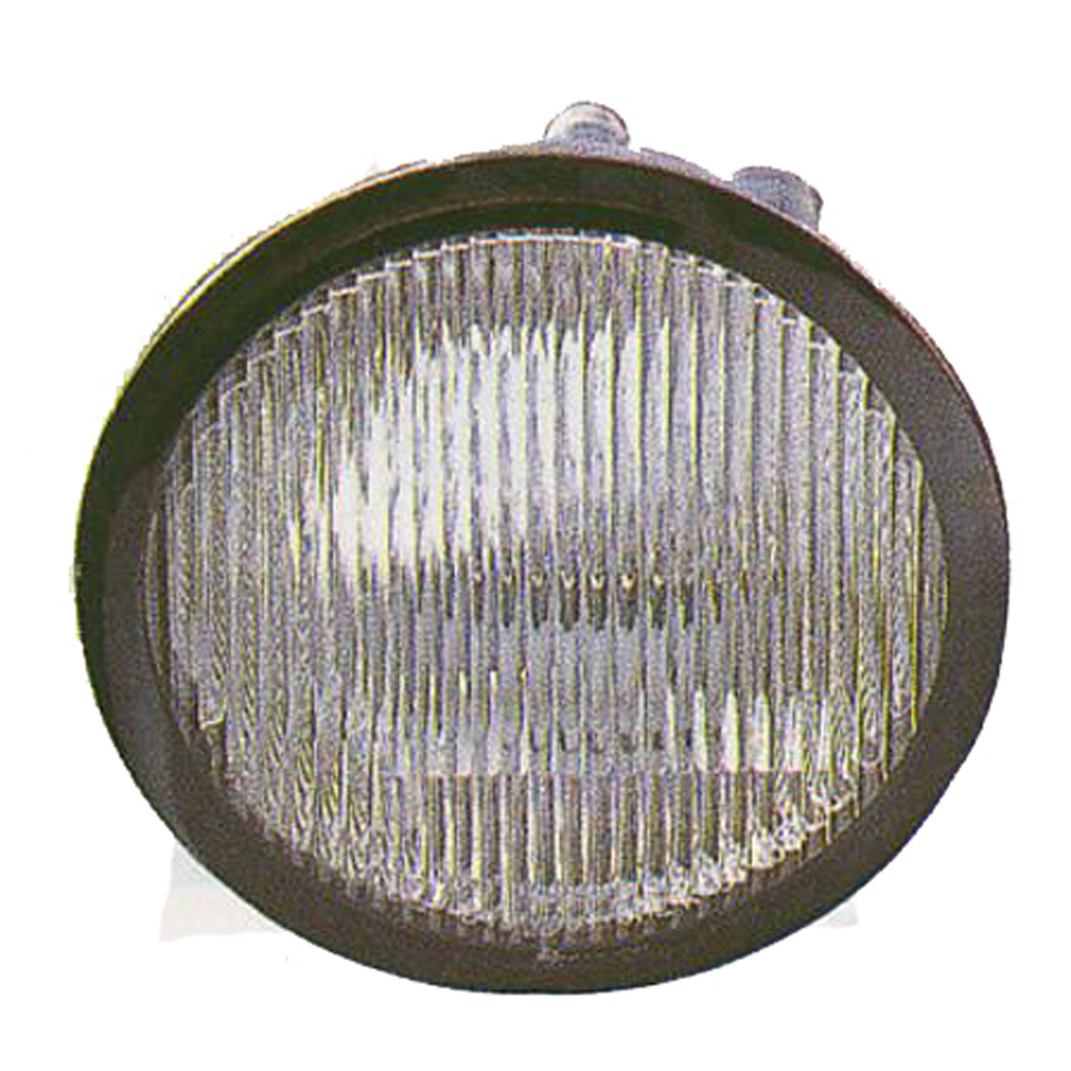 Right Side Fog lamp assy 2004 - 2006 NISSAN MAXIMA  NI2593116V 261007Y001